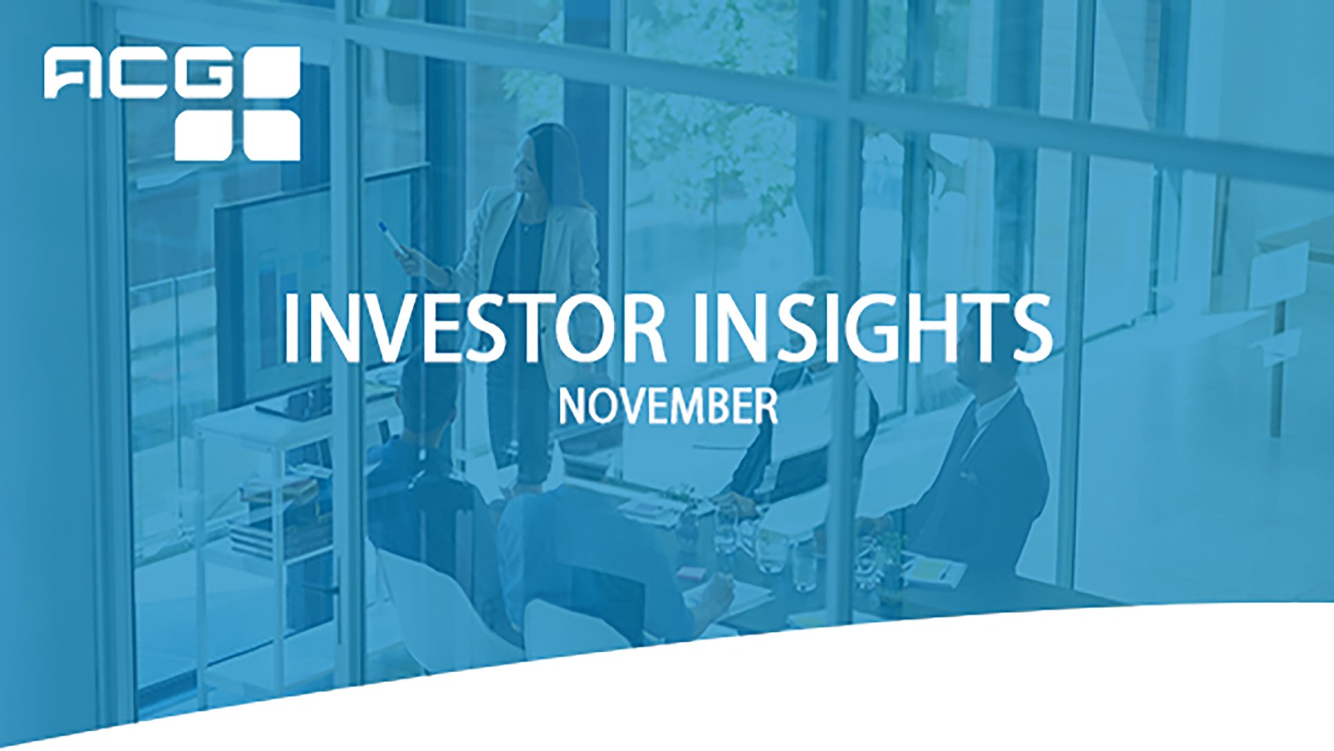 Investor Insights_November-2